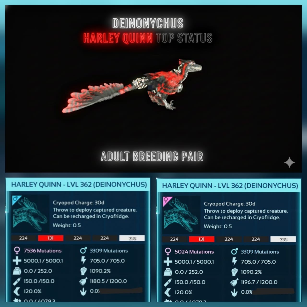 New top Deinonychus adult breeding pair level 362 Ark Ascended PVE PC/XBOX/PS5