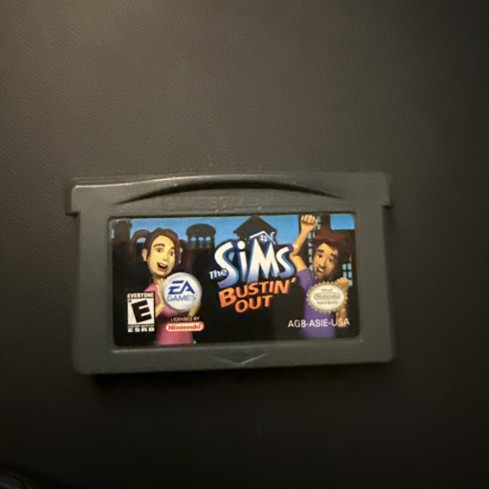 The Sims Bustin Out (Nintendo GameBoy Advance, 2003)