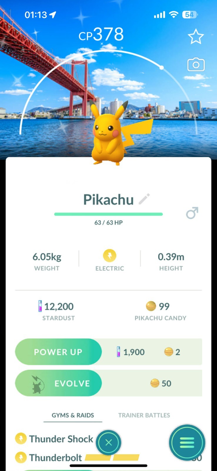 Pokémon PTC Go – Shiny Pikachu Stamp Rally Background ✨ Mini Have 80k Stardusts