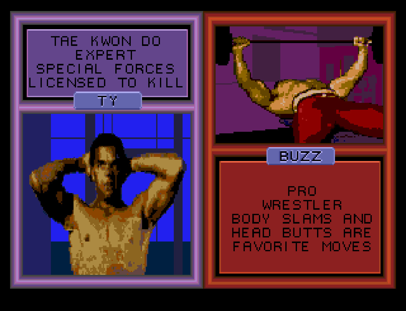Pit-Fighter 2 ”Prototype” for Sega Genesis with case & cover art.