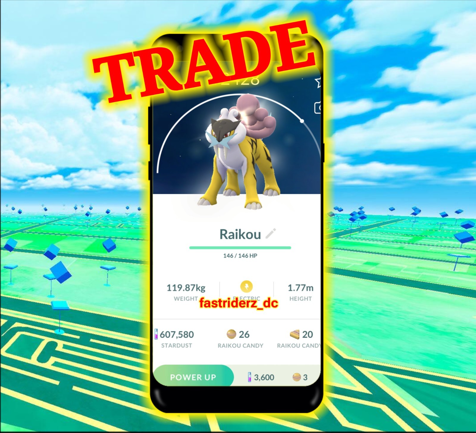 Pokémon Raikou Shadow Purified Go TD