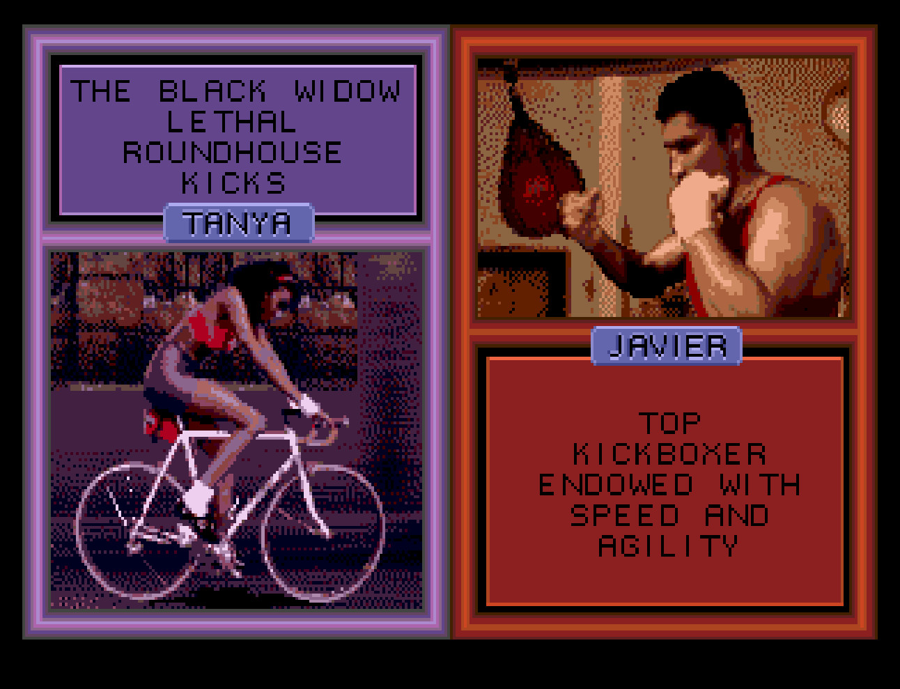 Pit-Fighter 2 ”Prototype” for Sega Genesis with case & cover art.