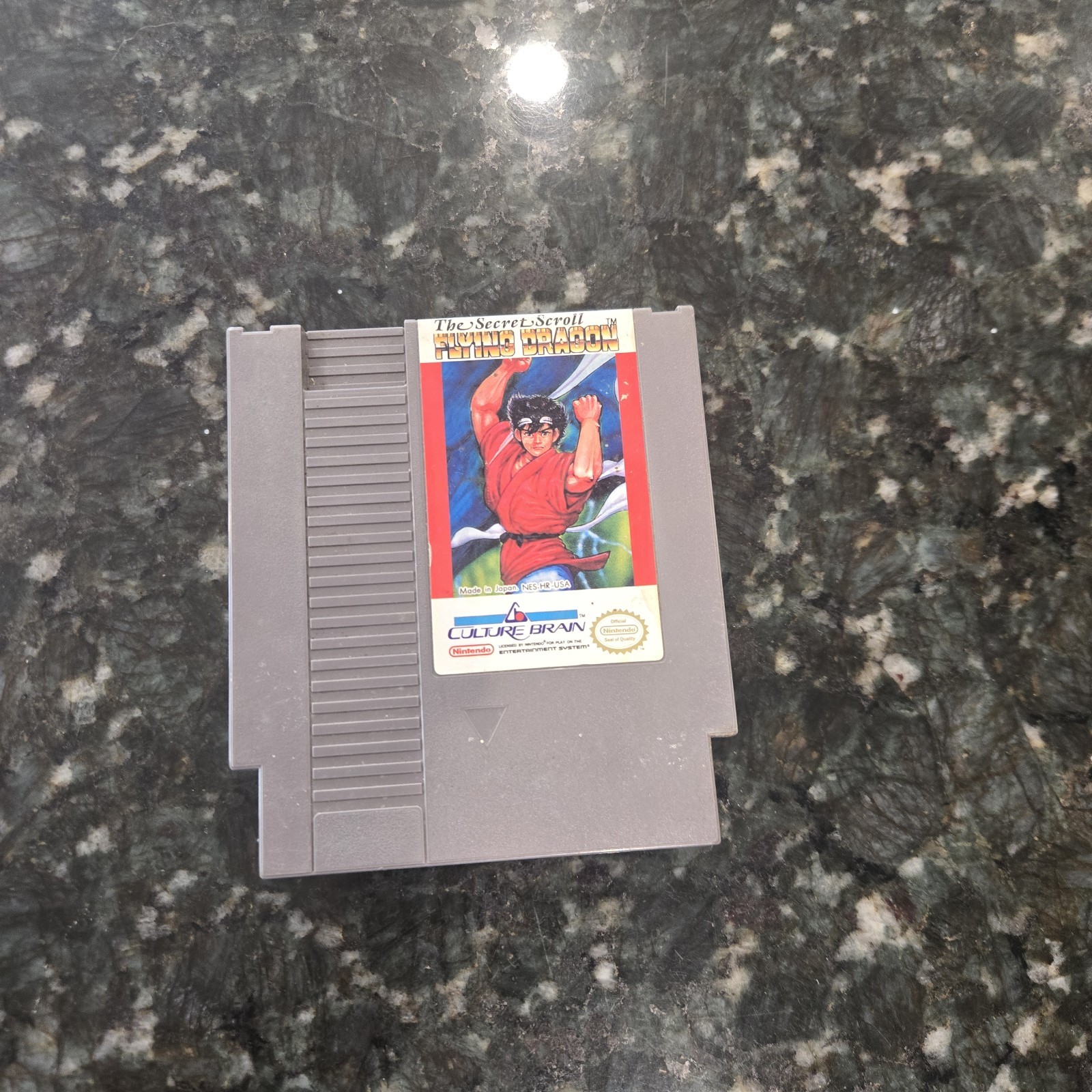 Flying Dragon: The Secret Scroll Nintendo NES Video Game Tested