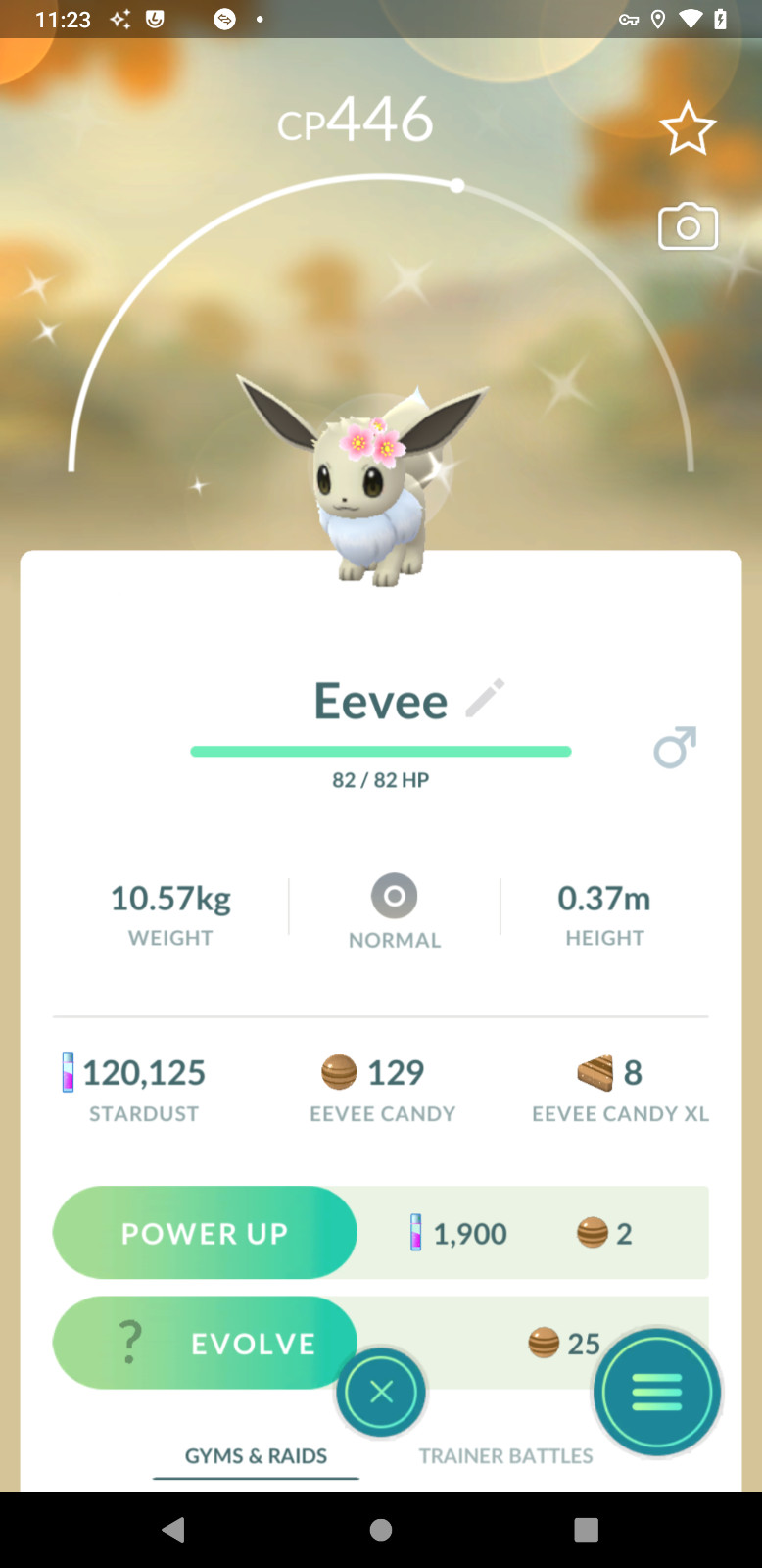 Shiny Cherry Blossom Eevee | P—T—C