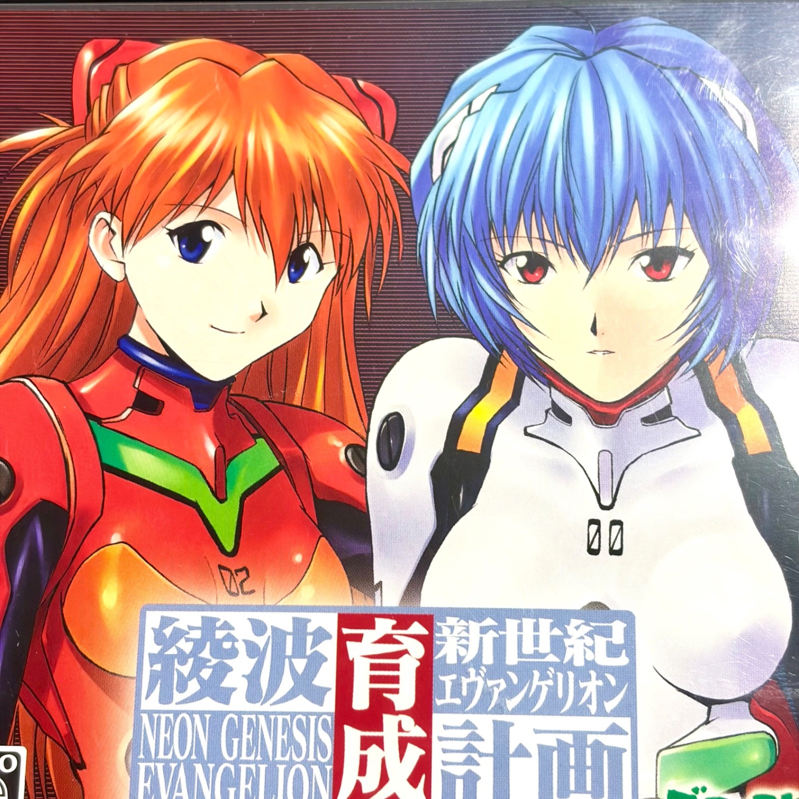 Neon Genesis Evangelion Ayanami Raising Project CIB Nintendo DS REGION FREE Jpn