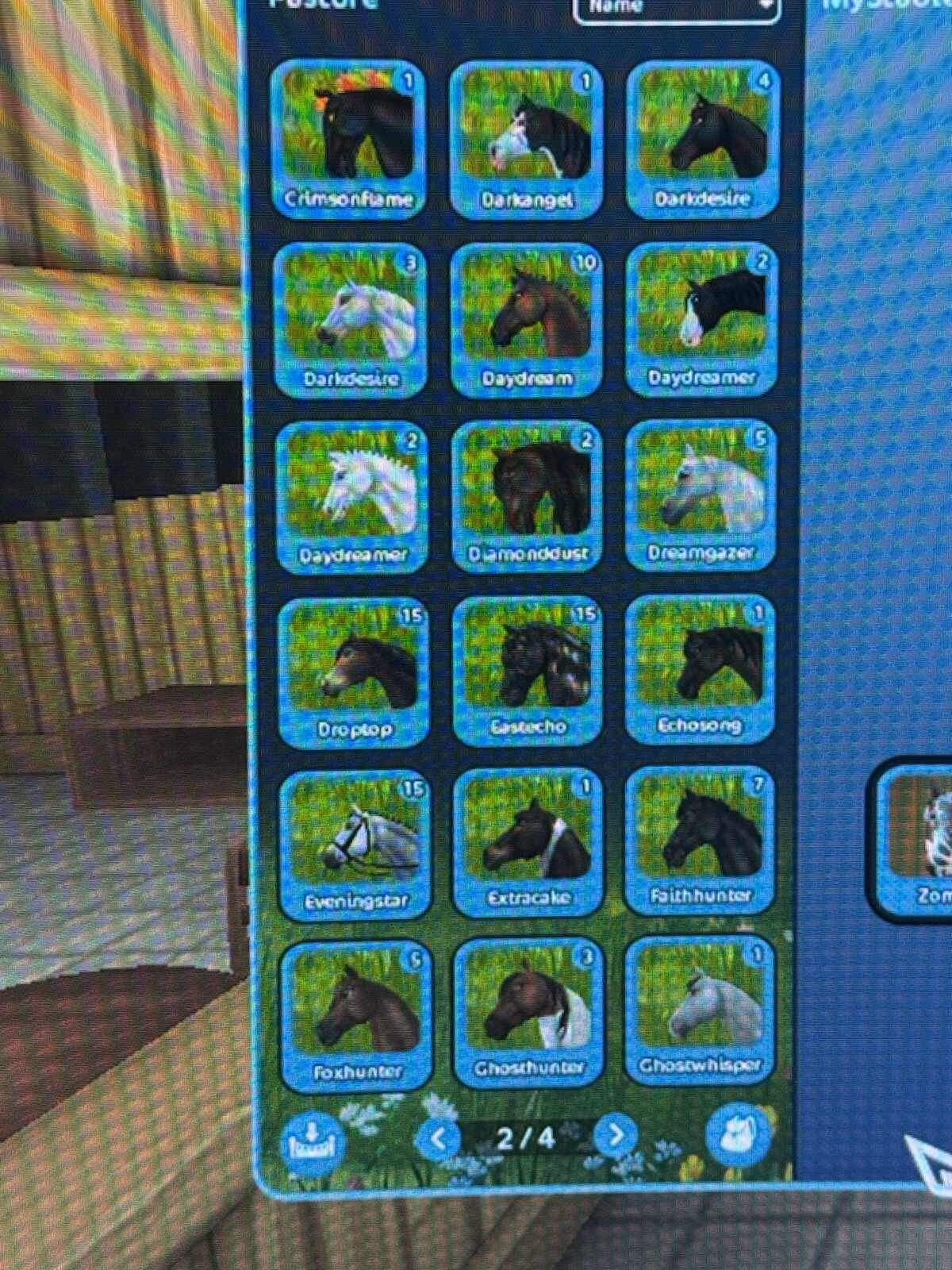 STAR STABLE Lifetime Account