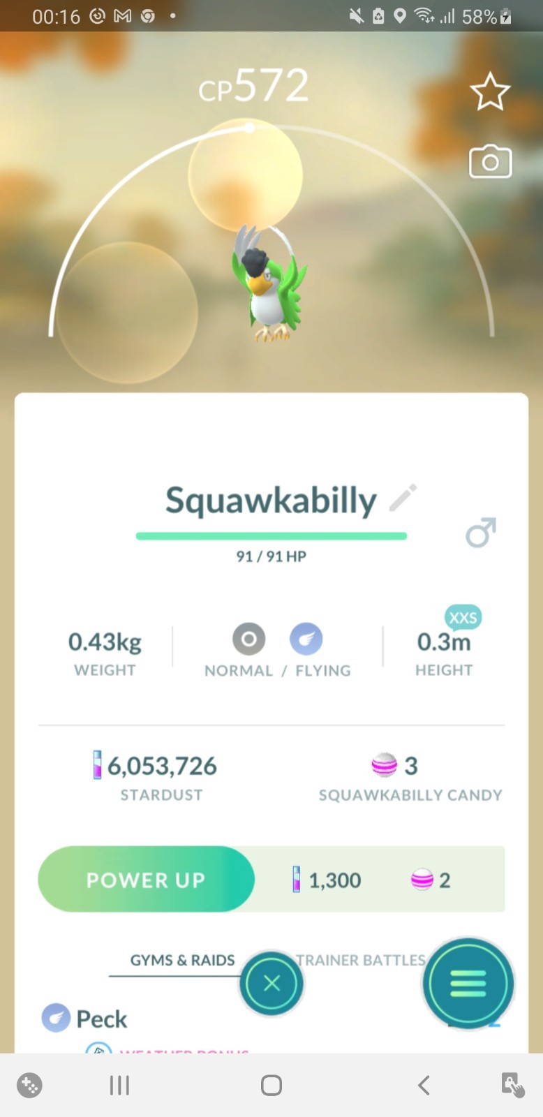 New Squawkabilly Green XXS ( Eastern ) ✨Pokemon Go✨