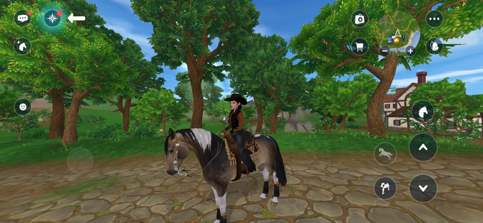 Star Stable/SSO Lifetime Account, 25 Horses