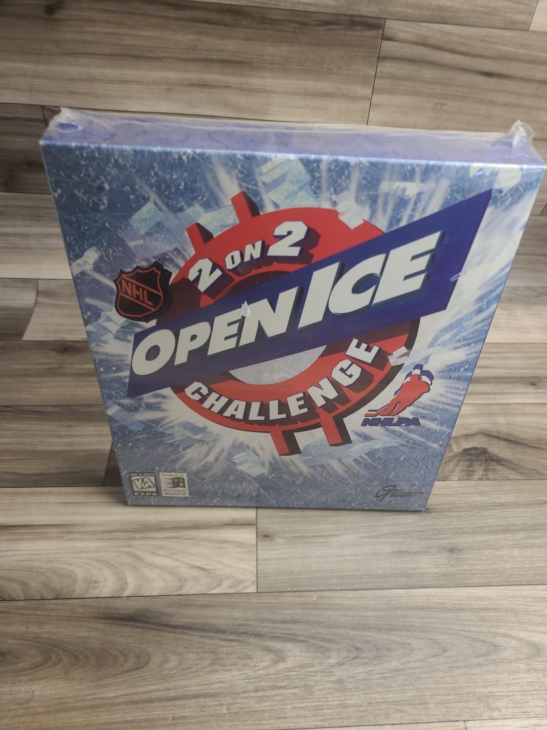 2 On 2 Open Ice Challenge Big Box PC for Microsoft Windows 95. (RARE) Sealed