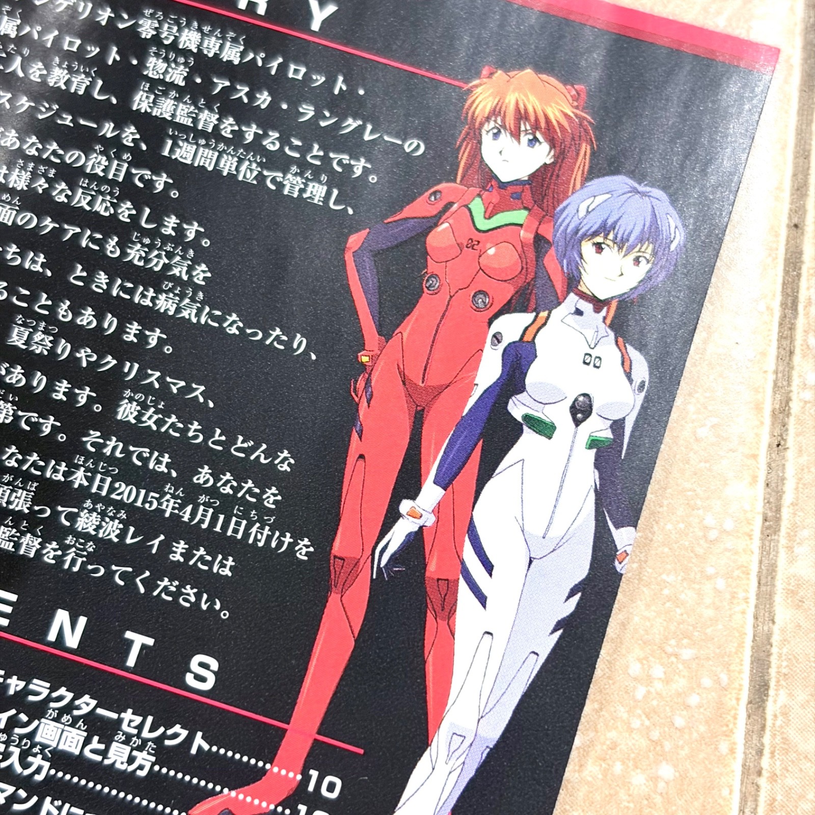 Neon Genesis Evangelion Ayanami Raising Project CIB Nintendo DS REGION FREE Jpn