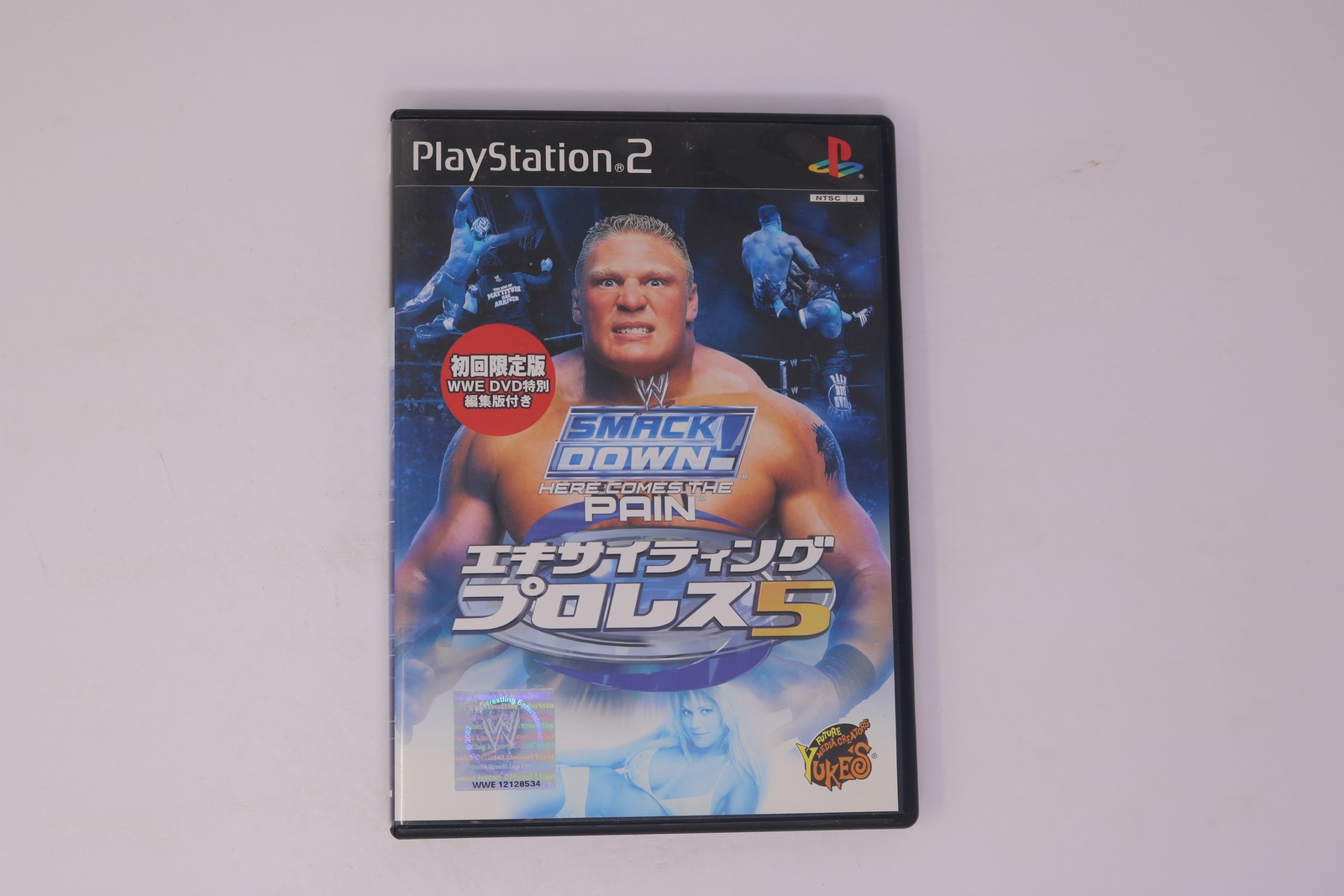 WWE SmackDown! Here Comes the Pain Exciting Pro Wrestling 5 Play(Region Locked)