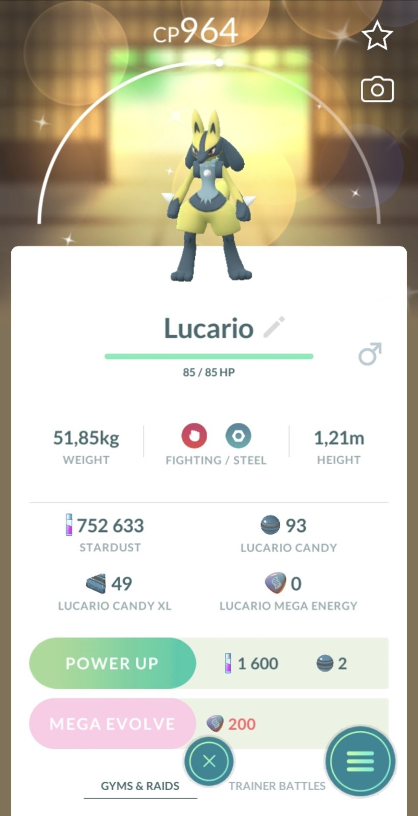 Pokémon🔄Trade🔄Go Shiny Lucario ✨