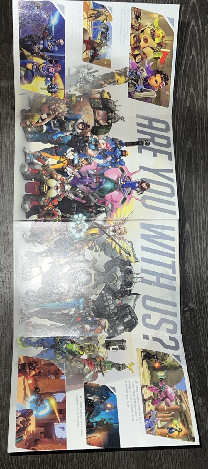 Activision Blizzard Overwatch Legendary PC Edition
