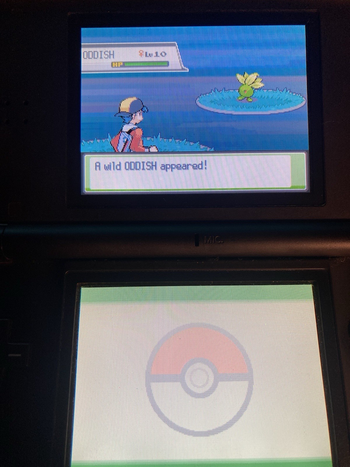 Pokémon Cute Charm Glitch Setup Diamond/Pearl/Platinum/Heartgold/Soulsilver