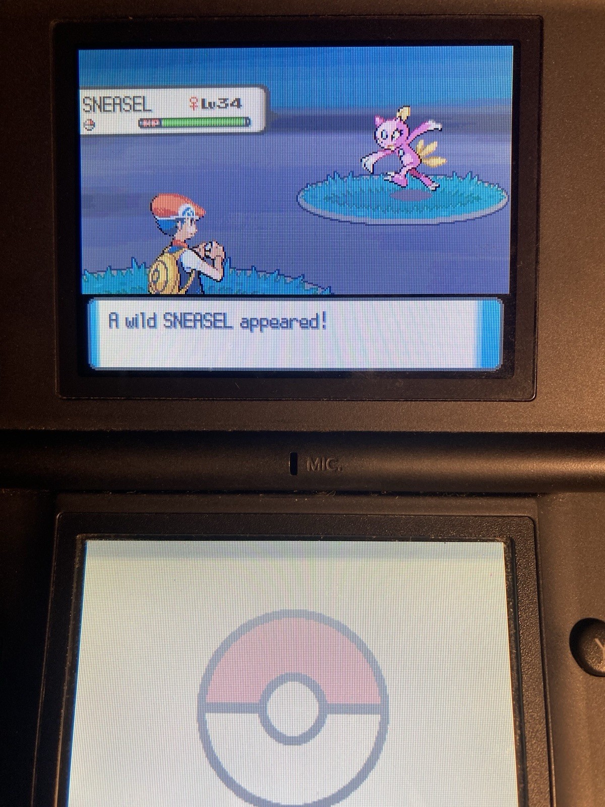 Pokémon Cute Charm Glitch Setup Diamond/Pearl/Platinum/Heartgold/Soulsilver