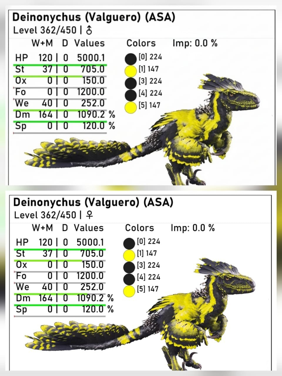 New top Deinonychus adult breeding pair level 362 Ark Ascended PVE PC/XBOX/PS5