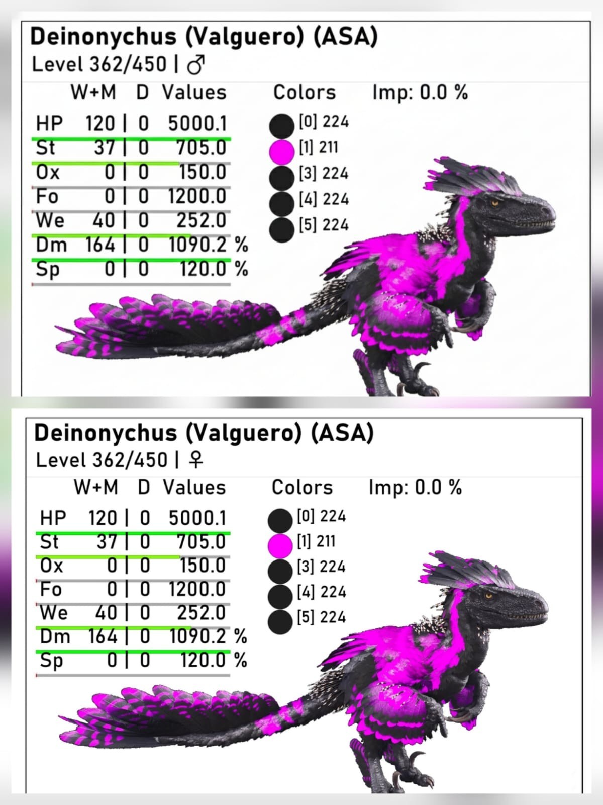 New top Deinonychus adult breeding pair level 362 Ark Ascended PVE PC/XBOX/PS5