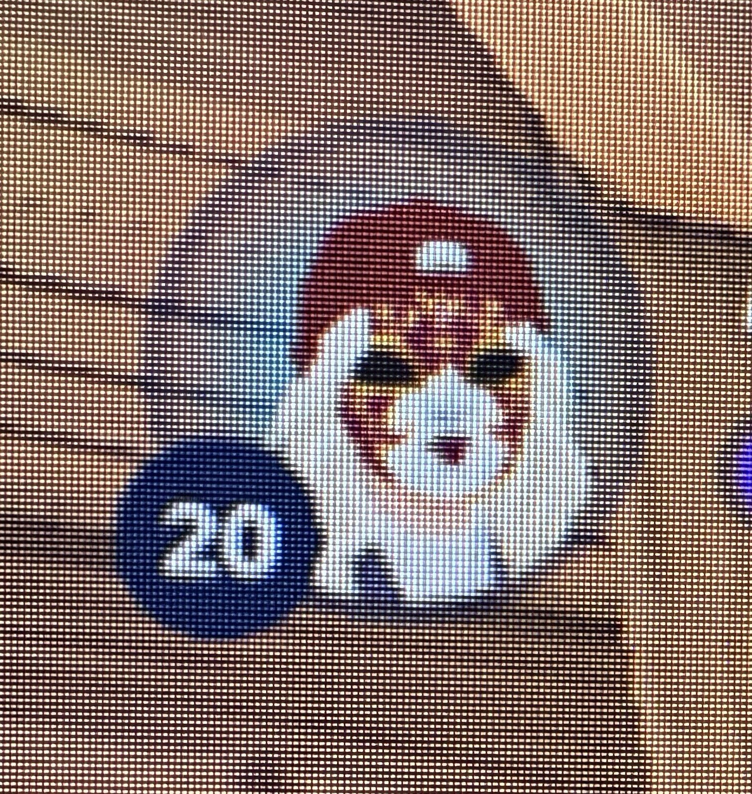 STAR STABLE Lifetime Account
