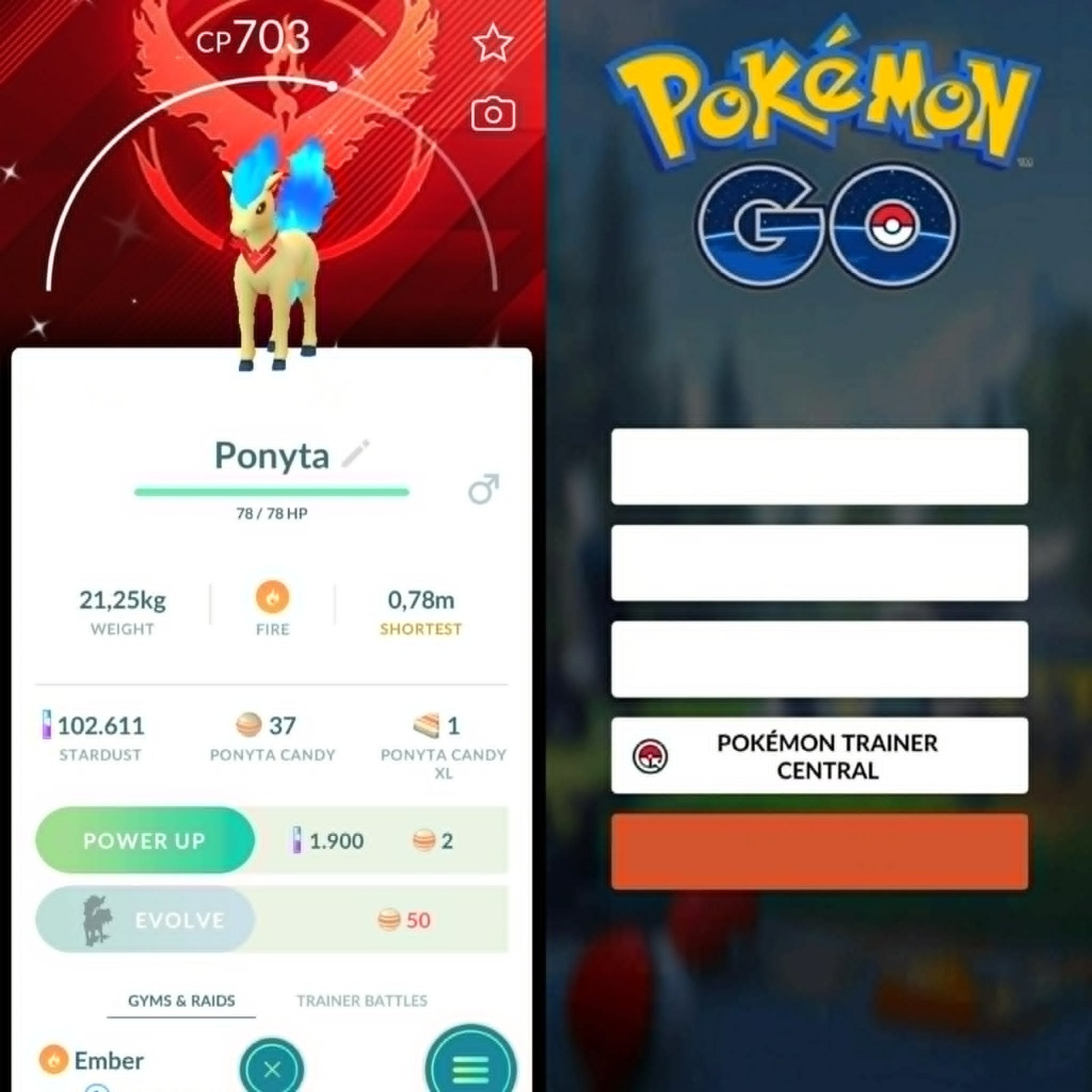 Pokémon PTC Go | Shiny Ponyta Candela themed accessory Team Valor Background ✨