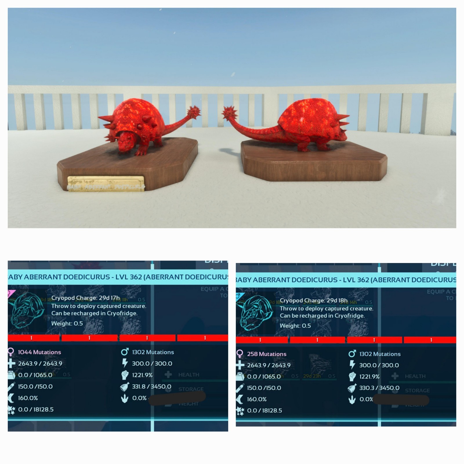 ARK ASA PVE OFFICIAL PAIR BABY DOEDICURUS AB RED ID01 NEW TOP STATUS 1221% MELEE
