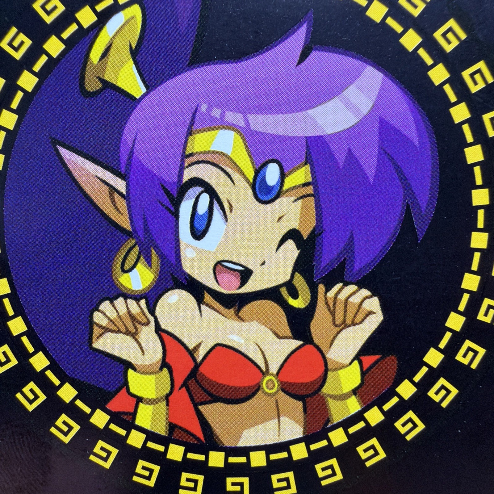 Shantae Advance Risky Revolution LRG 10th Anniversary Variant (Nintendo Switch)