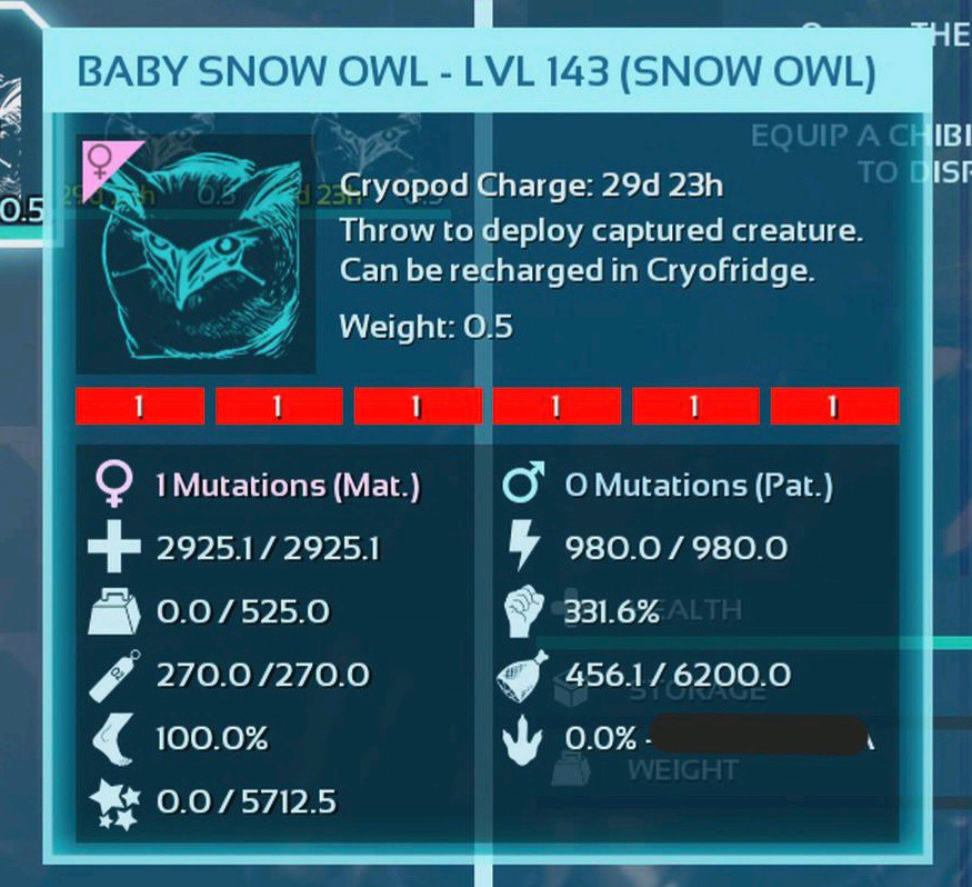 ARK ASA PVE OFFICIAL PAIR BABY SNOW OWL RED ID01 EXTINCTION PC/XBOX/PS5